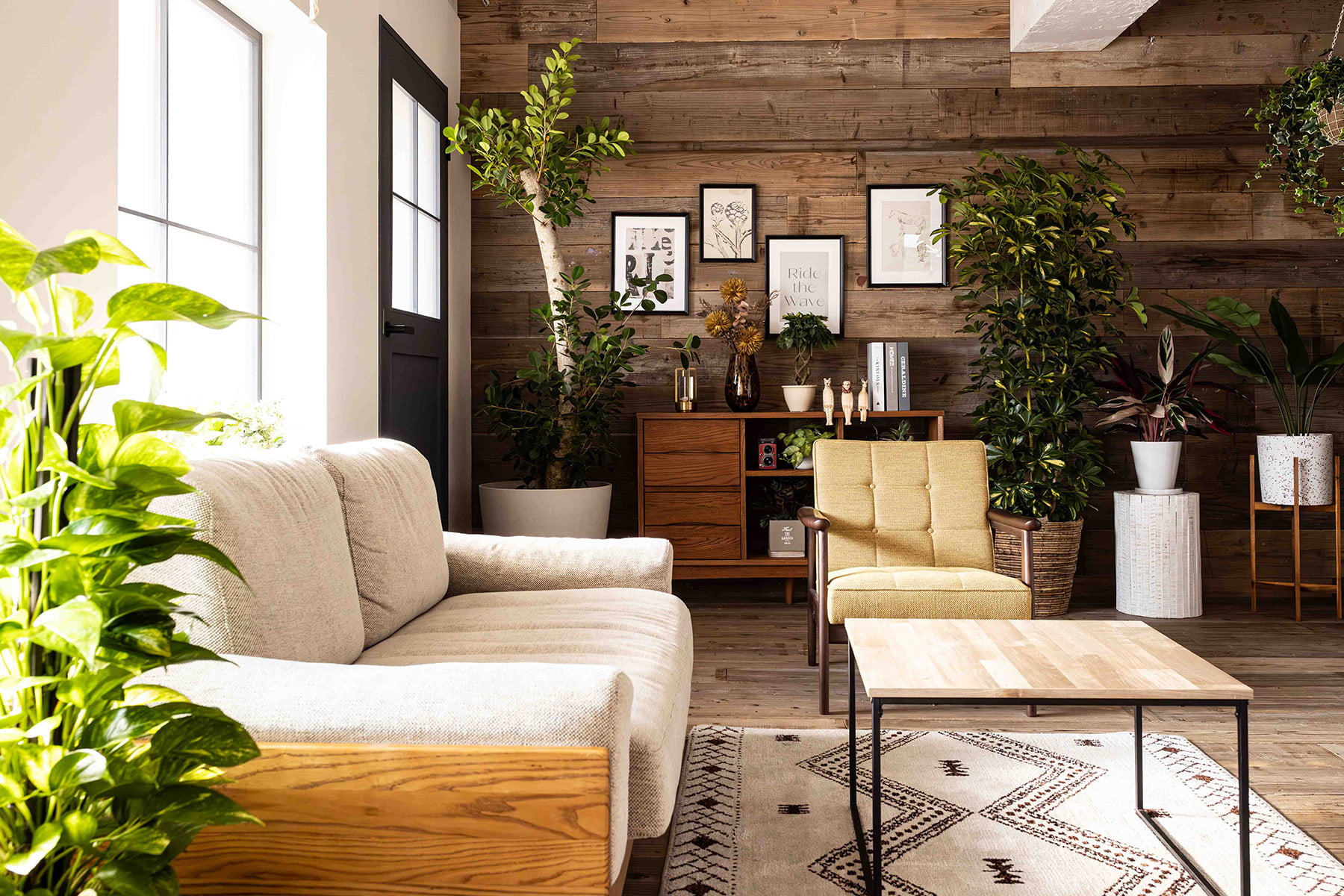 STUDIO FOXTAIL Bst - STUDIO PRESS